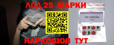 гашик Жуковский
