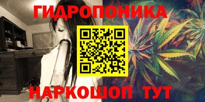 гашик Жуковский