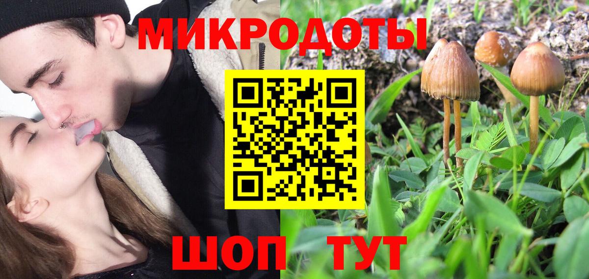 Чехов  Галлюциногенные грибы Psilocybine cubensis  закладки  Вход с VPN  Галлюциногенные грибы Psilocybine cubensis 